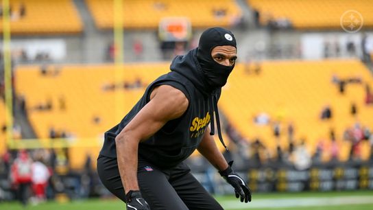 Steelers' Minkah Fitzpatrick