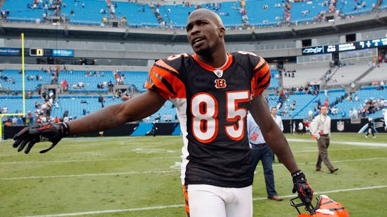 Steelers Rival Chad Johnson Steelers Rival Chad Johnson