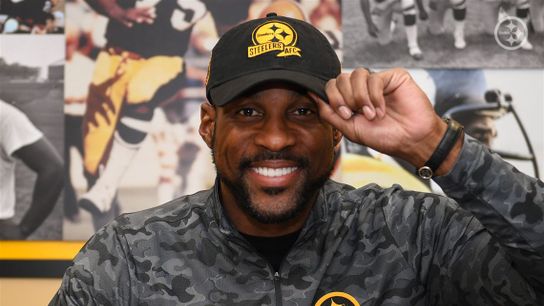 Pittsburgh Steelers Patrick Peterson Pittsburgh Steelers Patrick Peterson