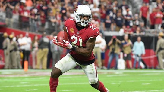 Steelers Patrick Peterson Steelers Patrick Peterson