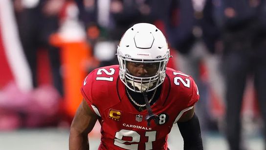 Steelers Patrick Peterson Steelers Patrick Peterson