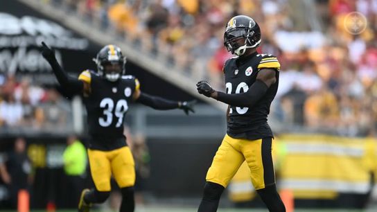 Steelers Patrick Peterson Minkah Fitzpatrick Steelers Patrick Peterson Minkah Fitzpatrick