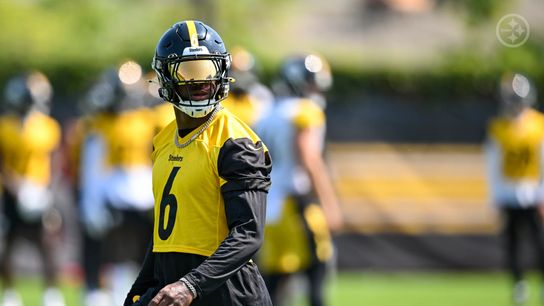 Steelers' Patrick Queen Already Crushing Haters In Baltimore Without Playing A Snap (Steelers News)