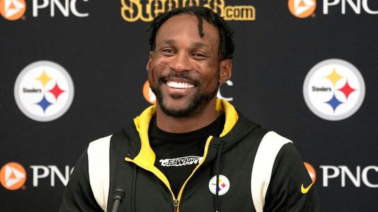 Steelers Patrick Peterson Steelers Patrick Peterson