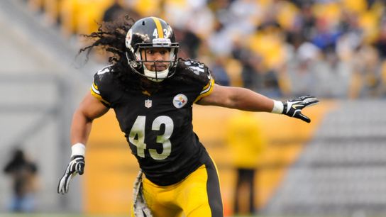 Steelers' Troy Polamalu Steelers' Troy Polamalu
