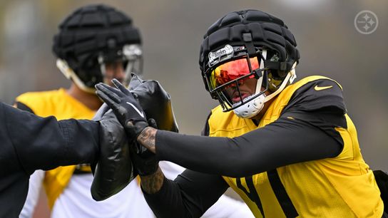 Steelers' Preston Smith Steelers' Preston Smith