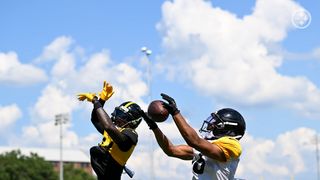 Steelers Release Savvy Veteran Wide Receiver After Disappointing Preseason (Steelers News). Photo by Alysa Rubin / Pittsburgh Steelers