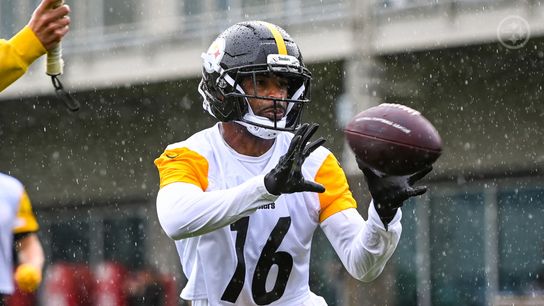 Steelers' Robert Woods