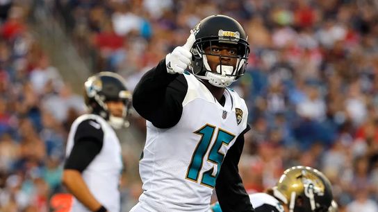 Steelers Allen Robinson Steelers Allen Robinson