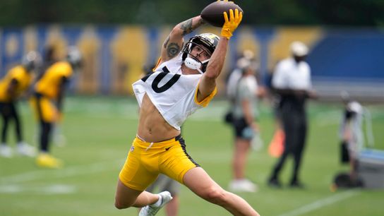 Steelers' Roman Wilson Steelers' Roman Wilson