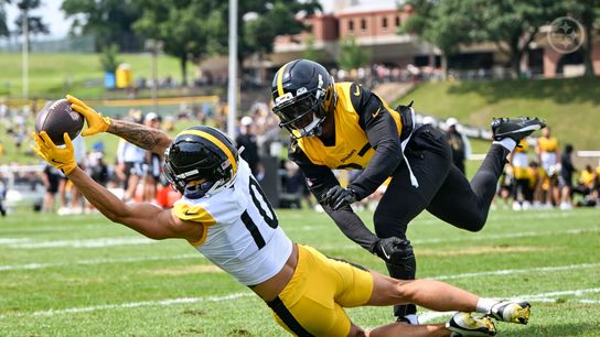 Steelers' Roman Wilson Steelers' Roman Wilson