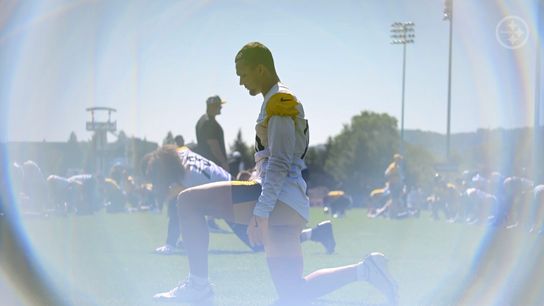 Steelers' Roman Wilson Steelers' Roman Wilson