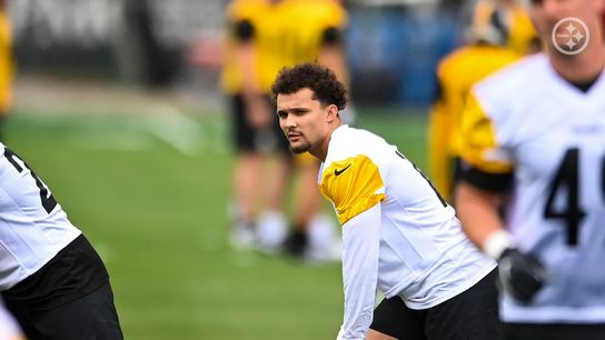 Steelers Roman WIlson Steelers Roman WIlson