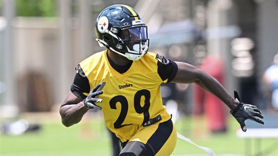 Steelers Ryan Watts Steelers Ryan Watts