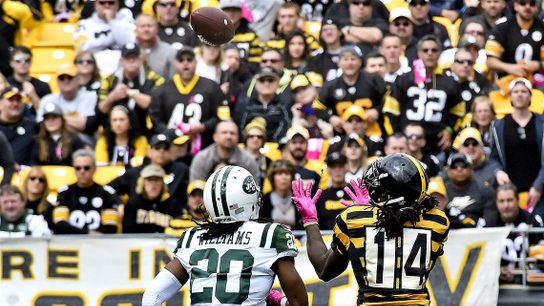 Steelers Sammie Coates