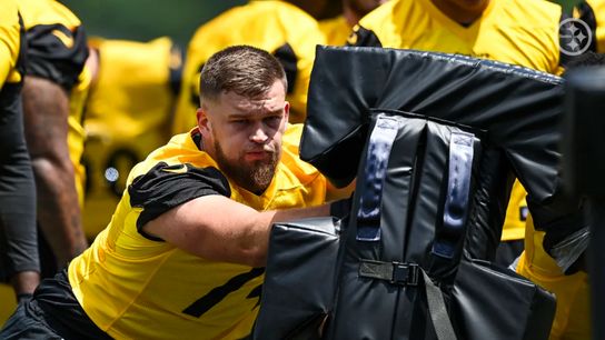 Pittsburgh Steelers Logan Lee Pittsburgh Steelers Logan Lee