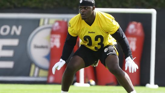 Former Steelers LB Cites Mark Robinson's Pitfall: "The Knock On Him Is The Brain Game" (Steelers News)