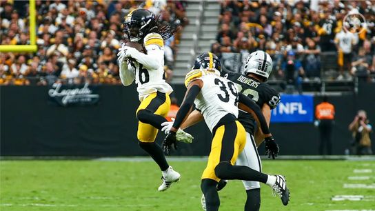 Pittsburgh Steelers Donte Jackson Minkah Fitzpatrick Pittsburgh Steelers Donte Jackson Minkah Fitzpatrick
