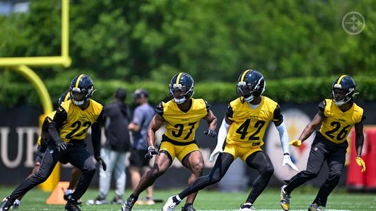 Steelers' New Defensive Back Labeled A Very Surprising Star At Minicamp  (Steelers News)