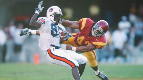 Steelers Troy Polamalu Steelers Troy Polamalu