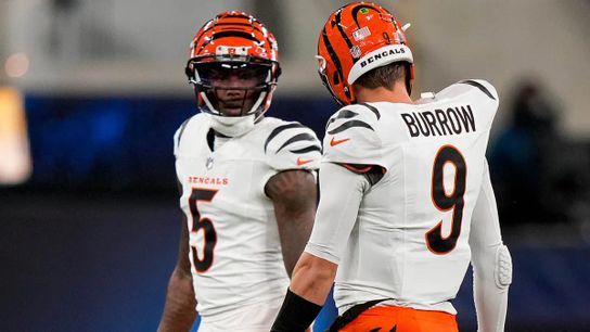 Steelers Rival Tee Higgins Uses 1 Cryptic Emoji Likely To Call Out Bengals' Front Office (Steelers News)