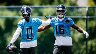 New Steelers WR Trade Targets Emerge Amid Revealed Acquisition Criteria (Steelers News). Photo by Tennessee Titans