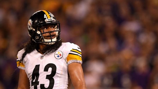 Pittsburgh Steelers' Safety, Troy Polamalu Steelers Troy Polamalu