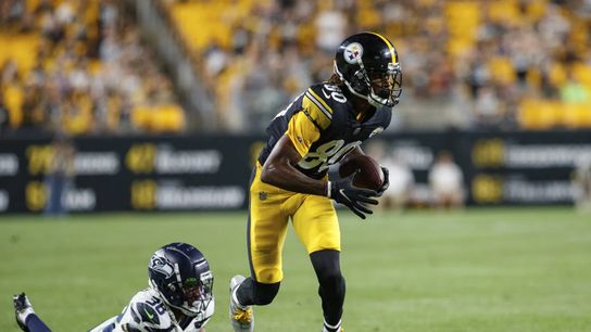 Steelers May Target A Reunion With Former Preseason Standout And XFL Star To Help Solidify Wide Receiver Group  (Tyler Vaughns)