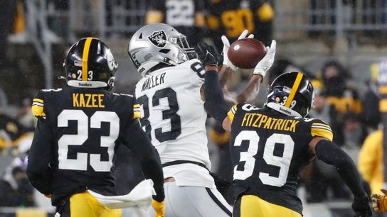 Steelers Minkah Fitzpatrick and Damontae Kazee Steelers Minkah Fitzpatrick and Damontae Kazee