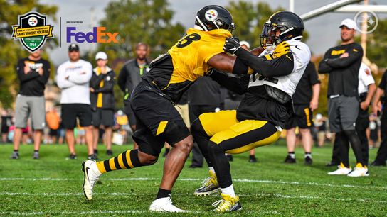 Pittsburgh steelers vince williams