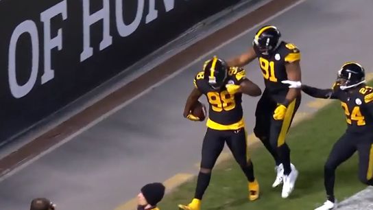 Steelers' Vince Williams Could Have Been A High-Dollar Free Agent But Refused For Just 1 Reason (Steelers News)