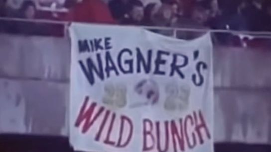 Steelers' mike wagner