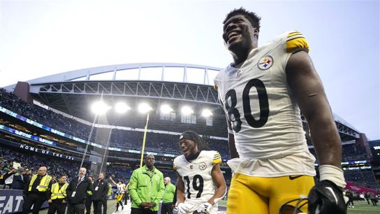 Steelers' Darnell Washington Steelers' Darnell Washington