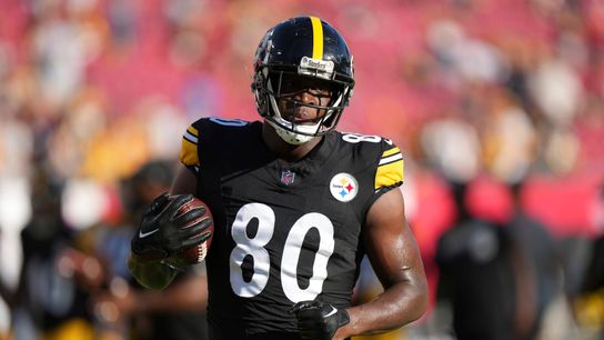 Steelers' Darnell Washington Steelers' Darnell Washington