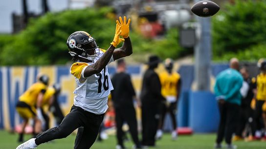 Steelers' Quez Watkins Steelers' Quez Watkins