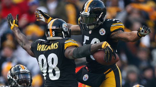 Steelers Vince Williams