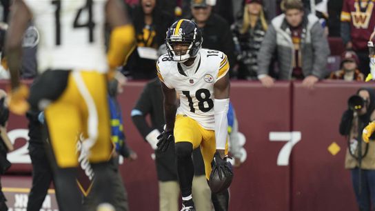 Steelers' Mike Williams Steelers' Mike Williams