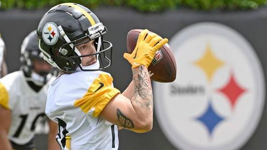 Steelers' Roman Wilson Steelers' Roman Wilson