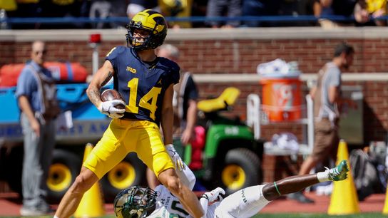 Steelers Roman Wilson Michigan Steelers Roman Wilson Michigan