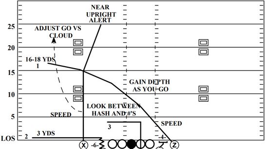 Steelers Yankee Concept