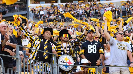 Steelers fans celebrating during a home game Steelers fans celebrating during a home game